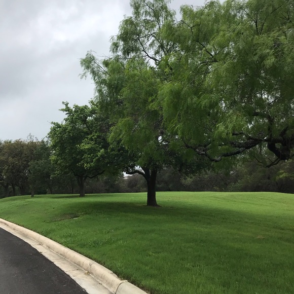 Meet your Posher, Roya - Picture 1 of 1